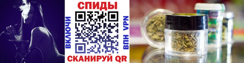 мориарти официальный сайт  Гусев  Бутират буратино 