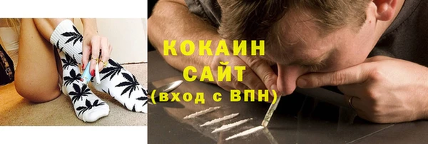гидра Богданович