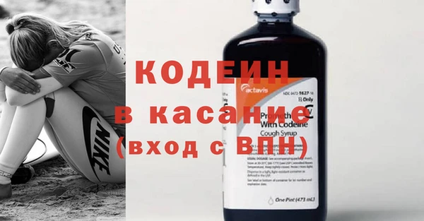 хмурый Богородицк
