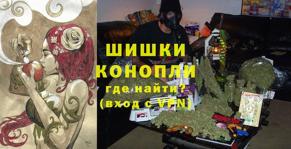 гидра Богданович