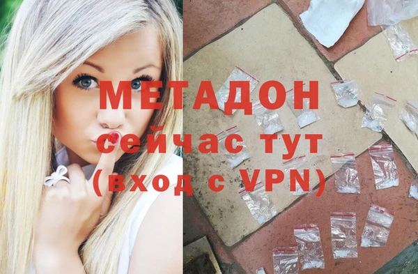 гидра Богданович
