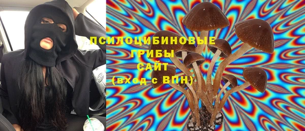 первитин Бородино