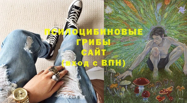 хмурый Богородицк