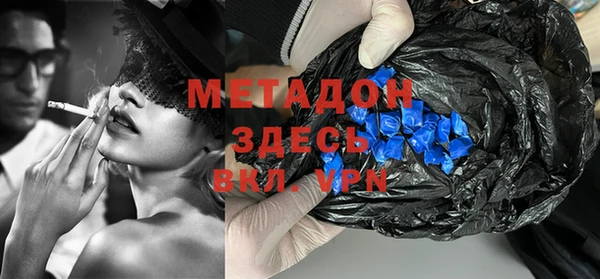 гидра Богданович