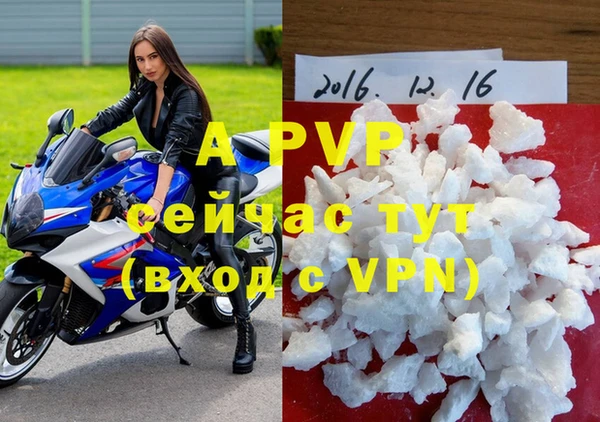 хмурый Богородицк