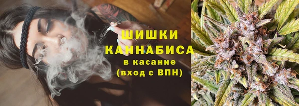 хмурый Богородицк