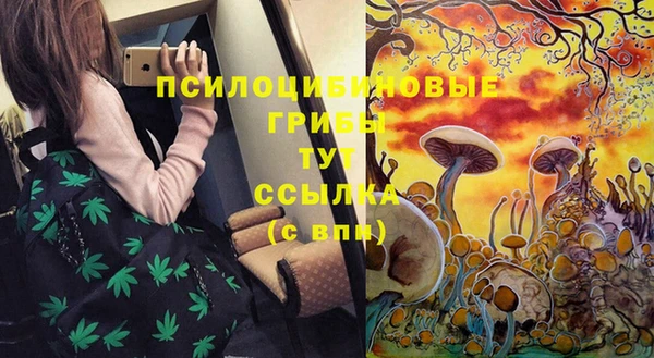 гидра Богданович